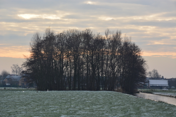 Gegenereerde grafische weergave